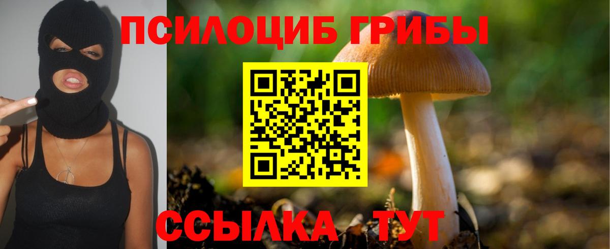 Выборг  Галлюциногенные грибы GOLDEN TEACHER  Вход с VPN 